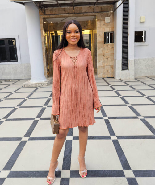 BROWN PLISSE SHIFT DRESS - Image 4