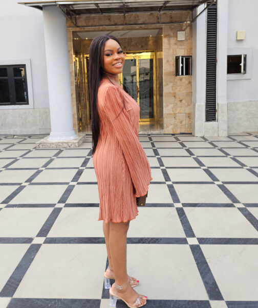 BROWN PLISSE SHIFT DRESS - Image 3