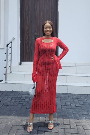 RED STRIPED BODYCON MESH DRESS