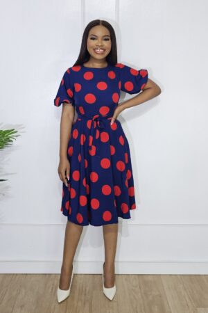 NAVY BLUE RED DOTS SKATER DRESS